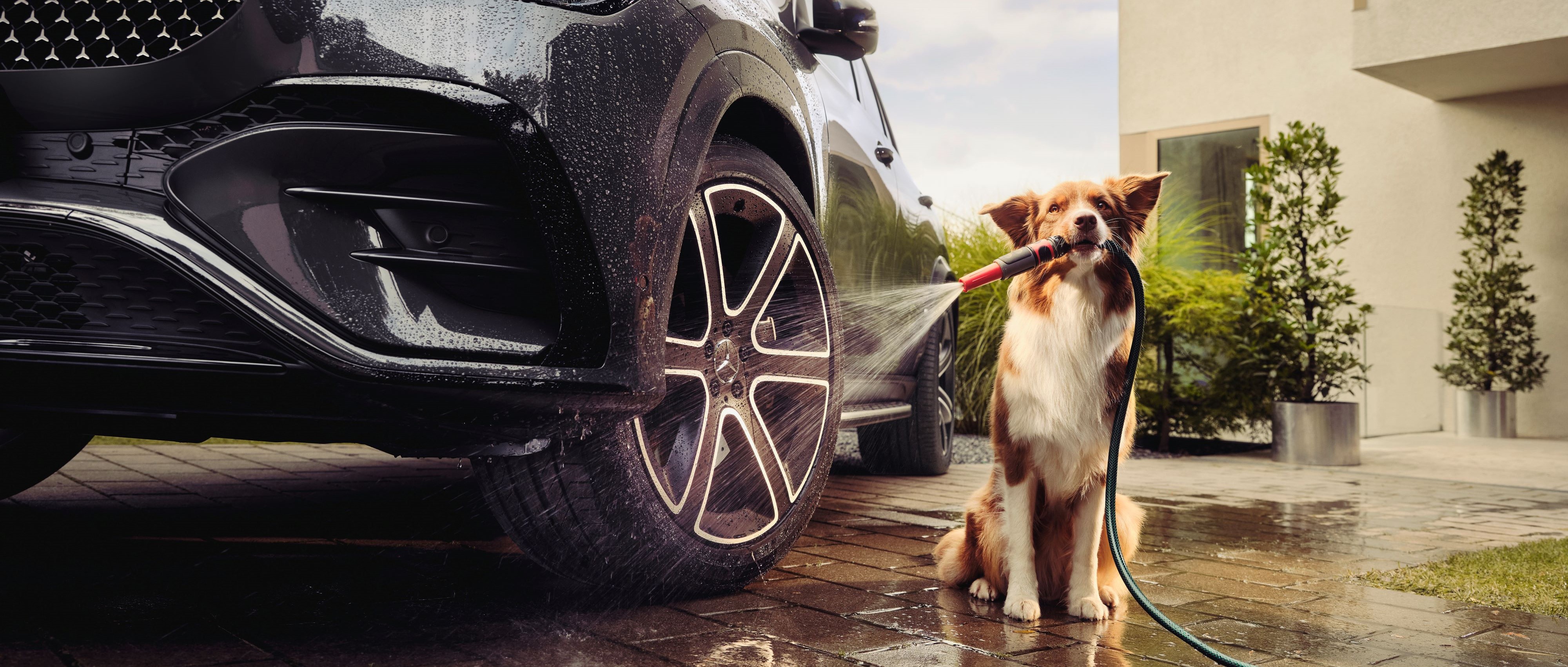 WS_Rad.jpg WS_Rad.jpg