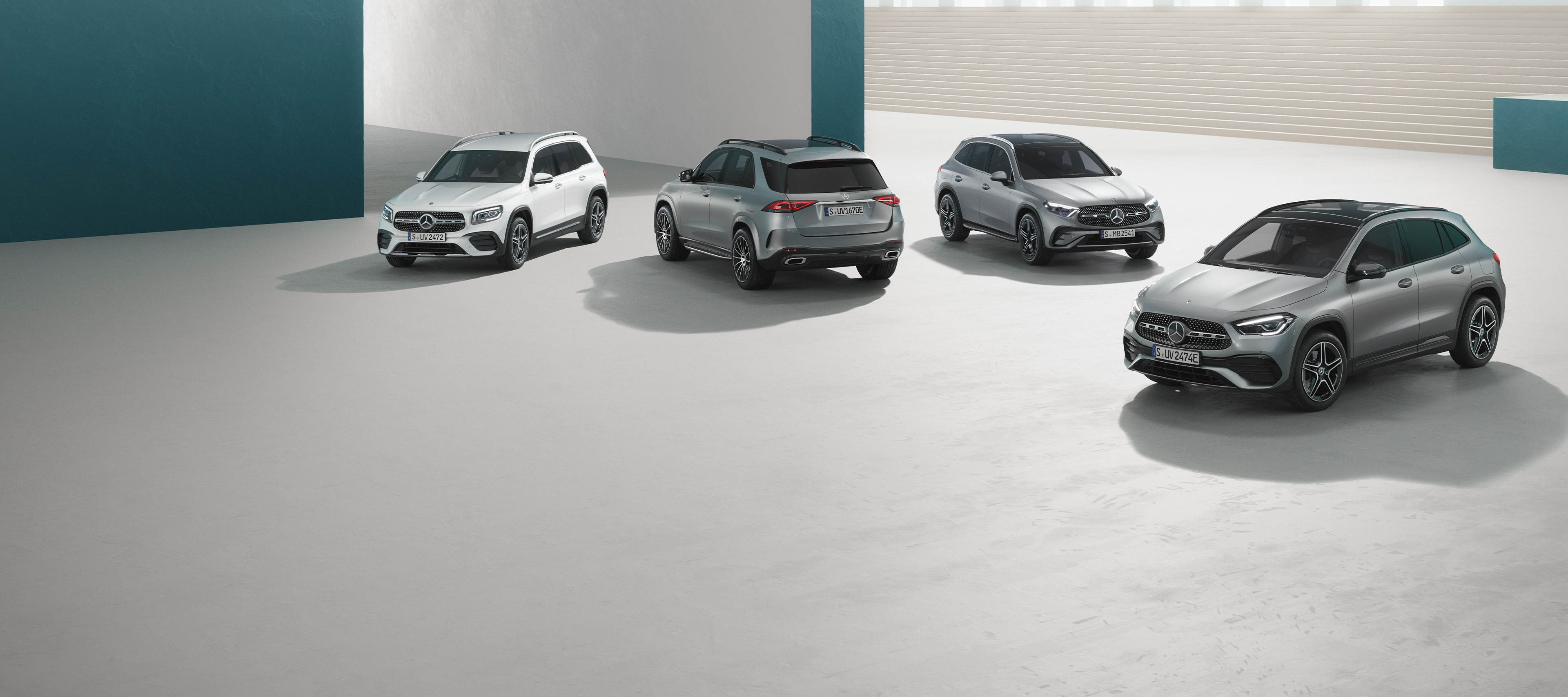 Flottensterne Flottensterne