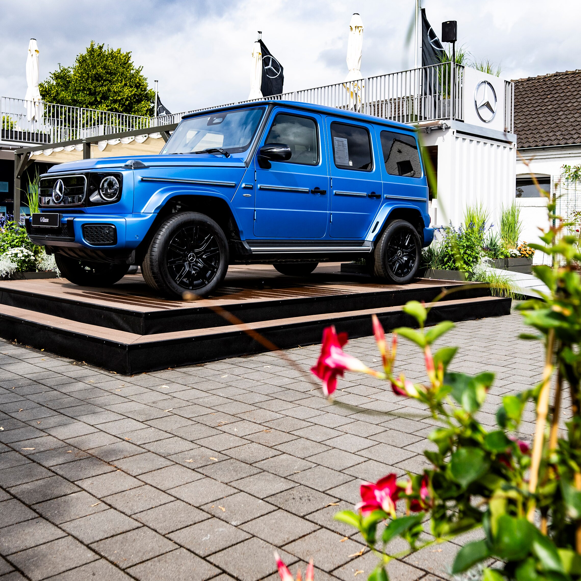 Ein Pferd mit einer Mercedes-Benz Pferdedecke.