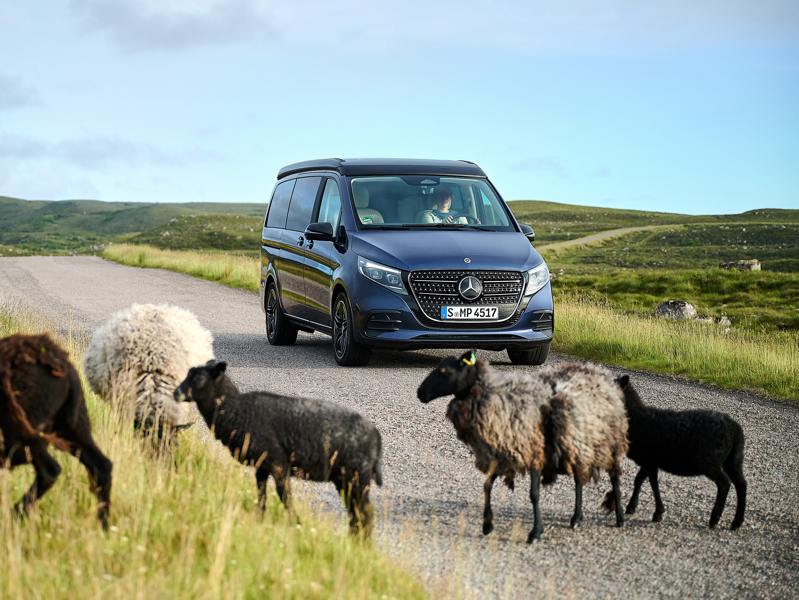 Ein blauer Mercedes-Benz Sprinter Kastenwagen, parkend vor Holzpaletten.