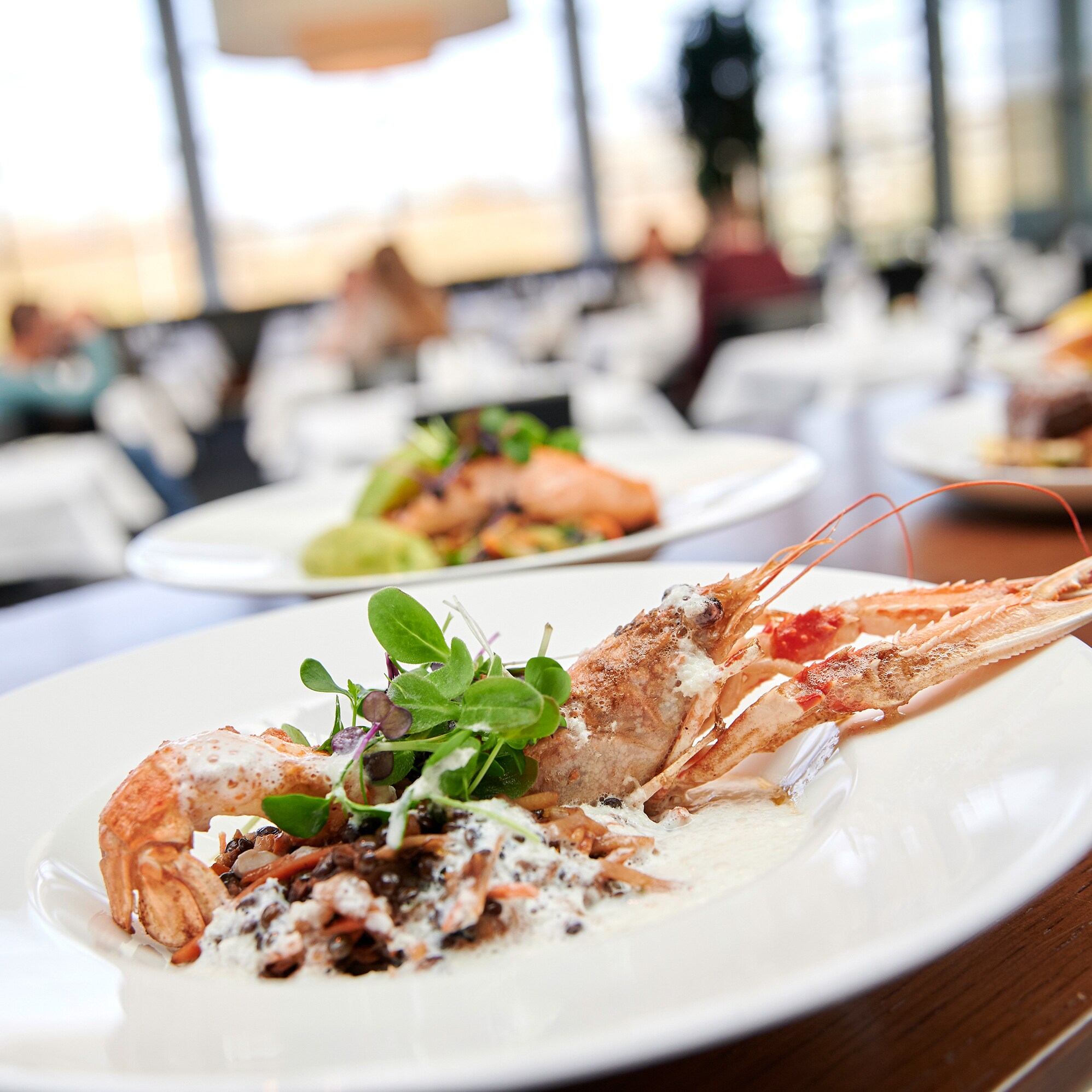 Ein Teller mit elegant angerichteten Speisen aus der Gastronomie eines Mercedes-Benz Kundencenter.