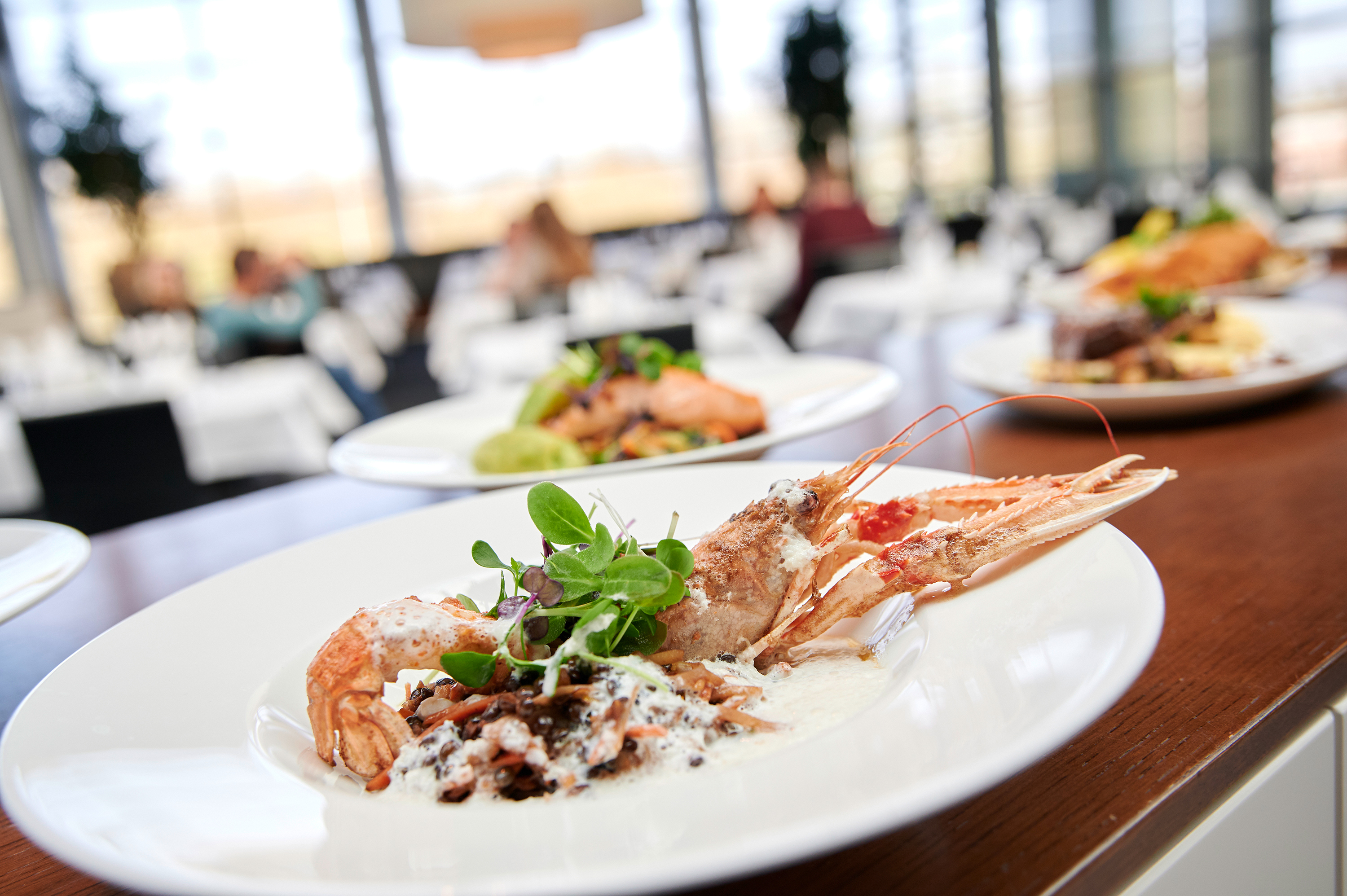 Ein Teller mit elegant angerichteten Speisen aus der Gastronomie eines Mercedes-Benz Kundencenter.