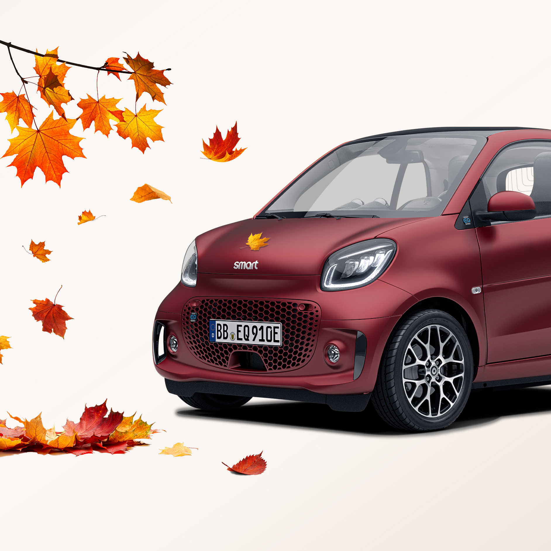 smart ein roter, matter smart mit Herbstblättern