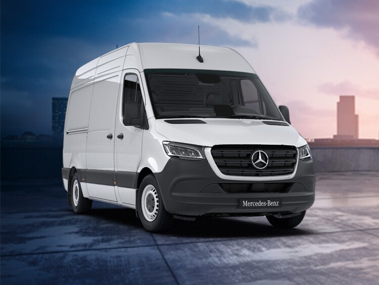 Ein weißer Sprinter Kastenwagen vor untergehender Sonne.