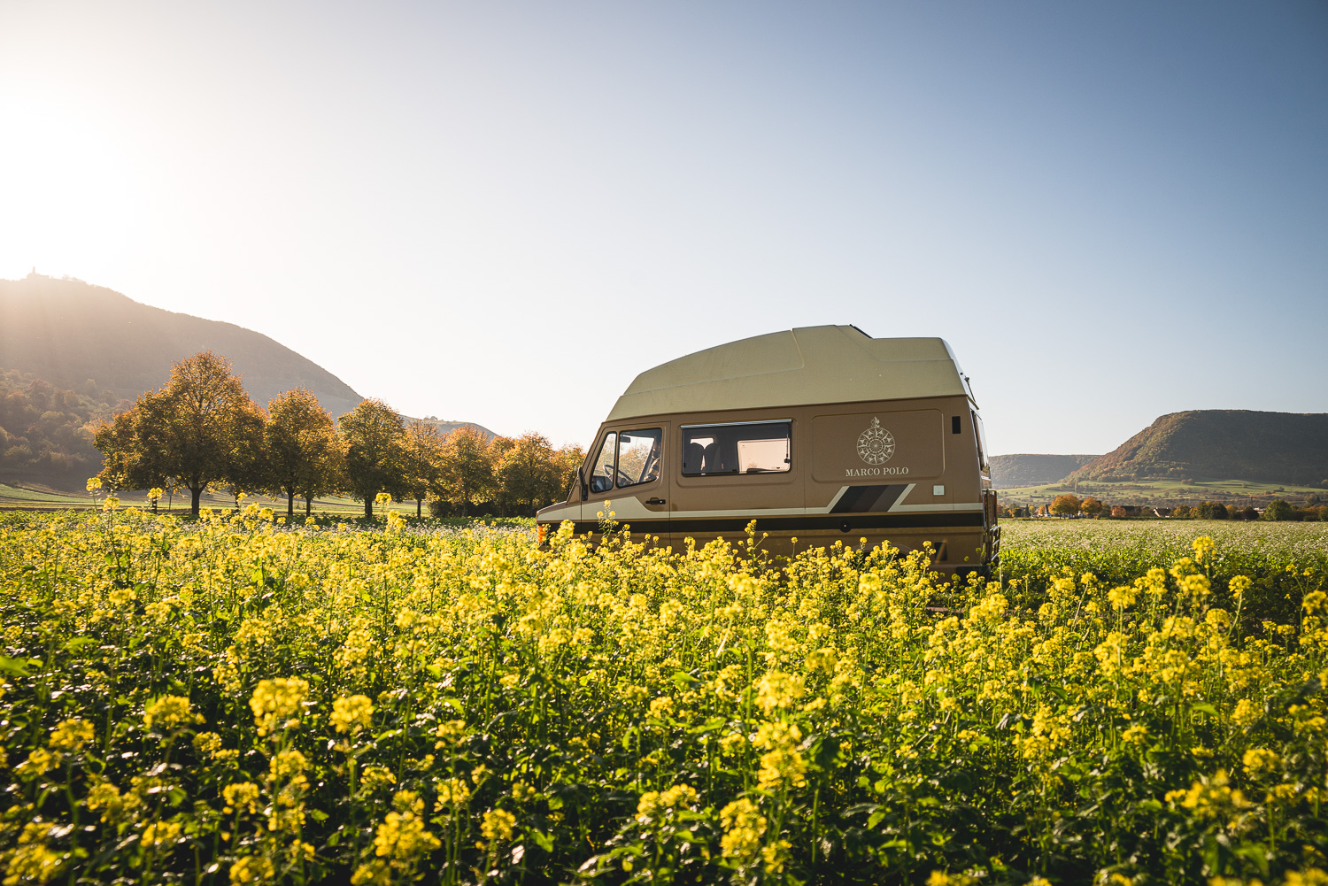 V-Klasse Marco Polo | Mercedes-Benz V-Klasse Marco Polo aus den 1980 Jahren hinter einer Rapswiese.