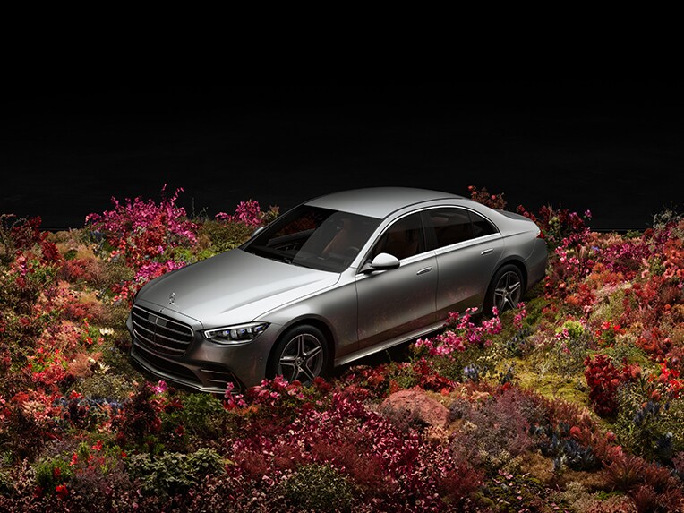 Mercedes-Benz S-Klasse auf blumigen Untergrund - Stern
