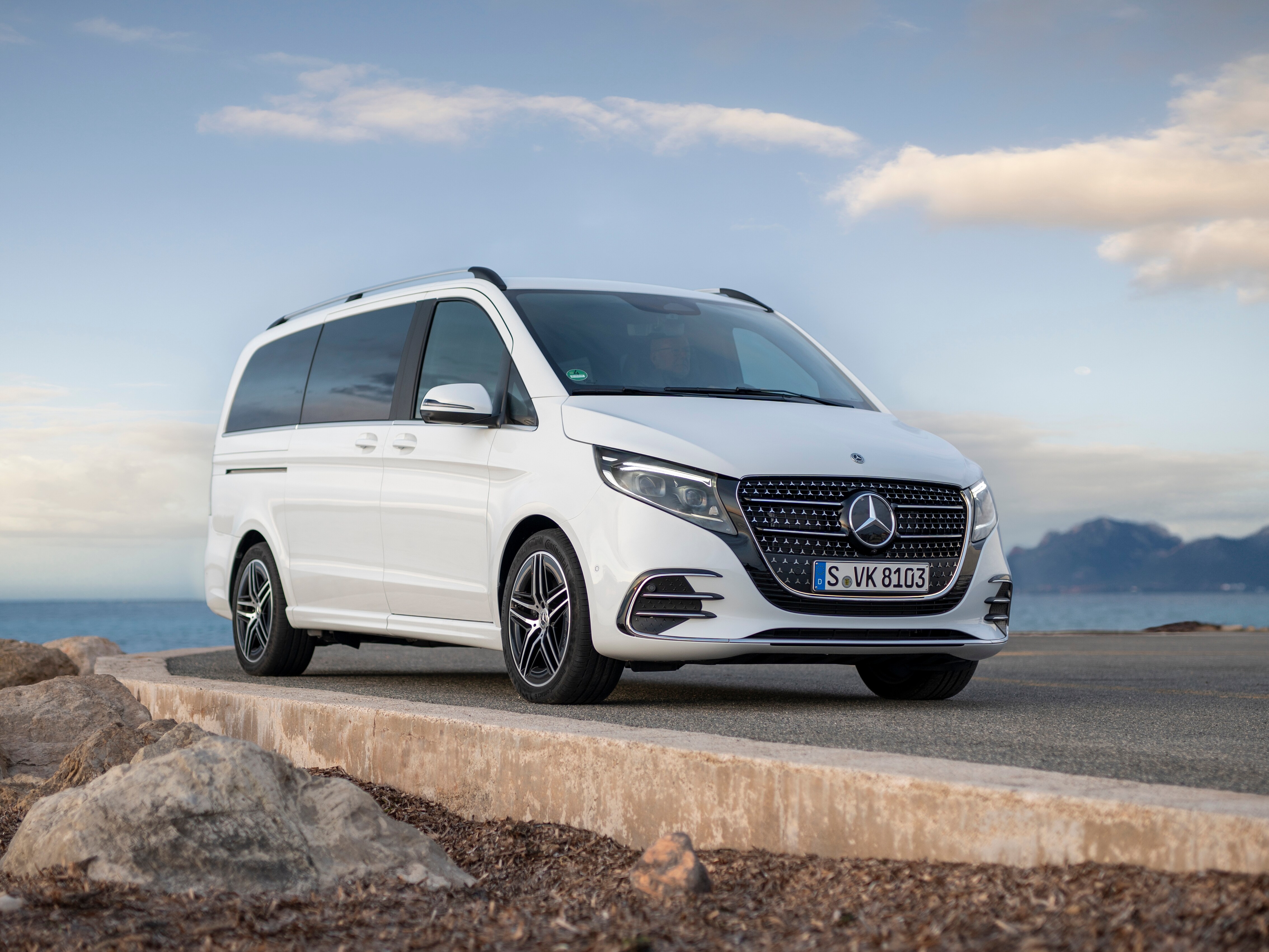 Ein blauer Mercedes-Benz Sprinter Kastenwagen, parkend vor Holzpaletten.